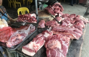 Thịt lợn hơi rục rịch tăng giá sau “bão” dịch tả lợn châu Phi