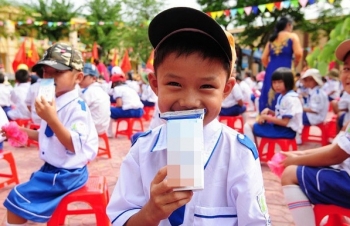 Chuyên gia kinh tế: Nên tổ chức đấu thầu Đề án sữa học đường