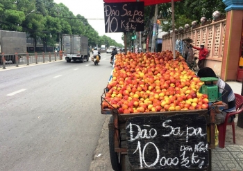 Đào, nho, mận Trung Quốc gắn mác Việt bày bán tràn ngập nhiều đường phố Sài Thành