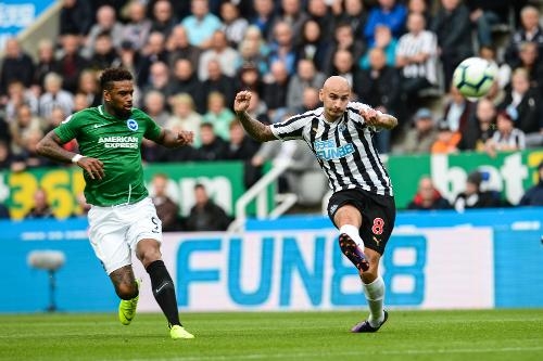 Vòng 6 Ngoại hạng Anh 2019/20: Xem trực tiếp Newcastle vs Brighton ở đâu?