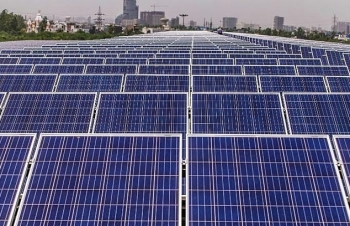 IEA: Điện mặt trời sẽ là "vua mới" trên thị trường