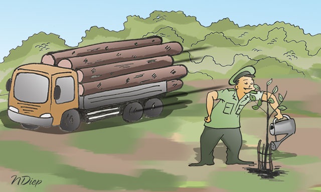 Ai đang trả giá cho tội ác phá rừng? - 1