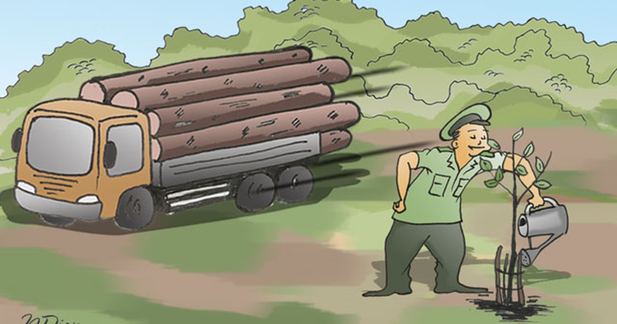 Ai đang trả giá cho tội ác phá rừng?
