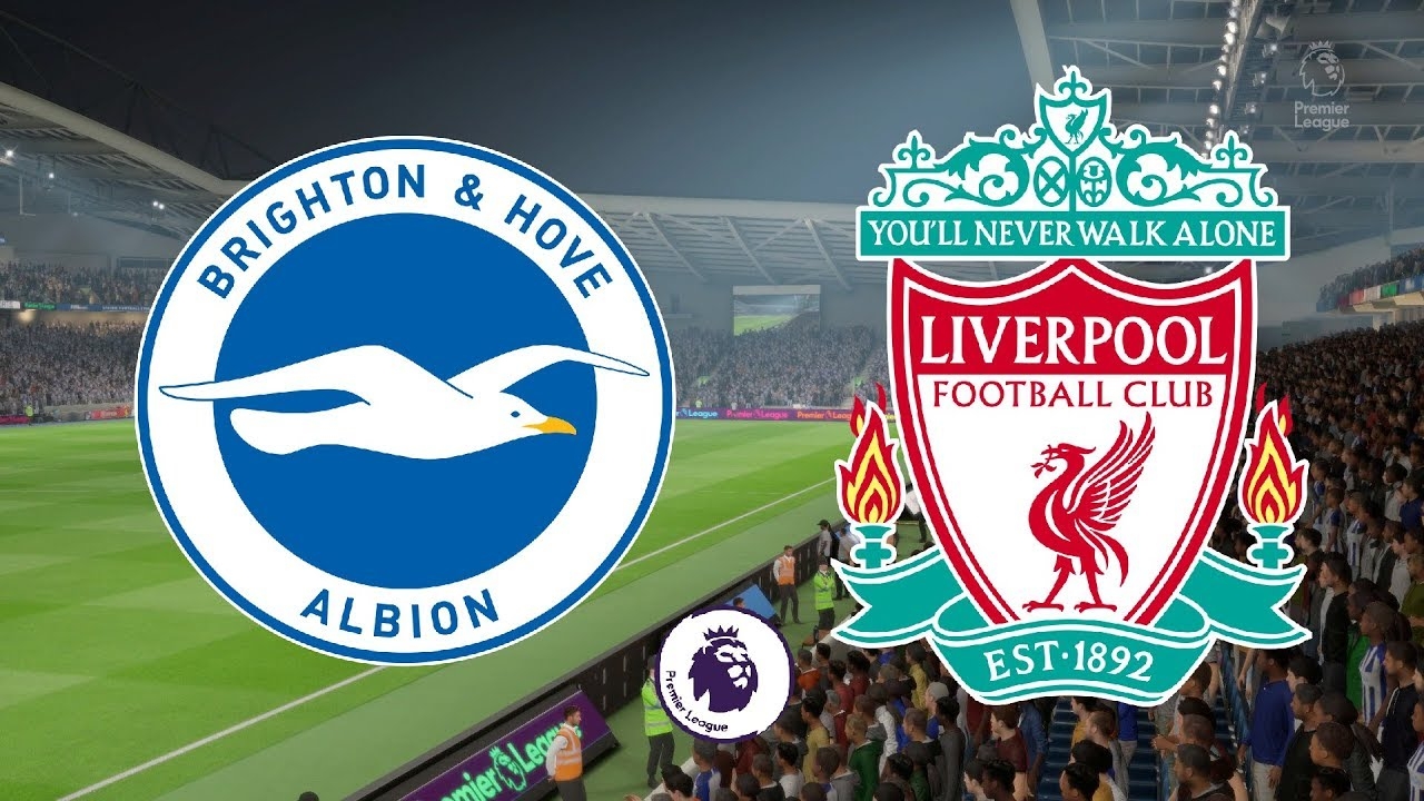 Link xem trực tiếp Brighton vs Liverpool (Ngoại hạng Anh), 19h30 ngày 28/11
