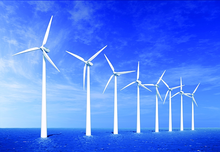 EVN: Có 84 nhà máy điện gió được công nhận vận hành thương mại