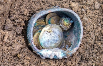 Đào được bình đựng đầy tiền vàng siêu hiếm 1.000 năm tuổi