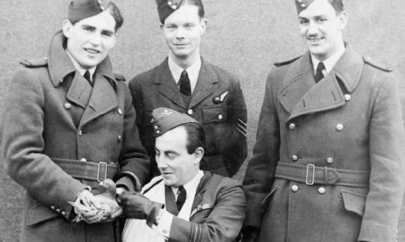 Con chim cứu mạng tổ lái oanh tạc cơ Anh năm 1942