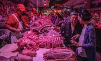 Trung Quốc quay cuồng vì dịch tả lợn châu Phi