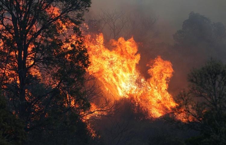 Australia yêu cầu 30.000 người sơ tán vì cháy rừng