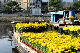 Dạo chợ hoa xuân bên bến sông Sài Gòn