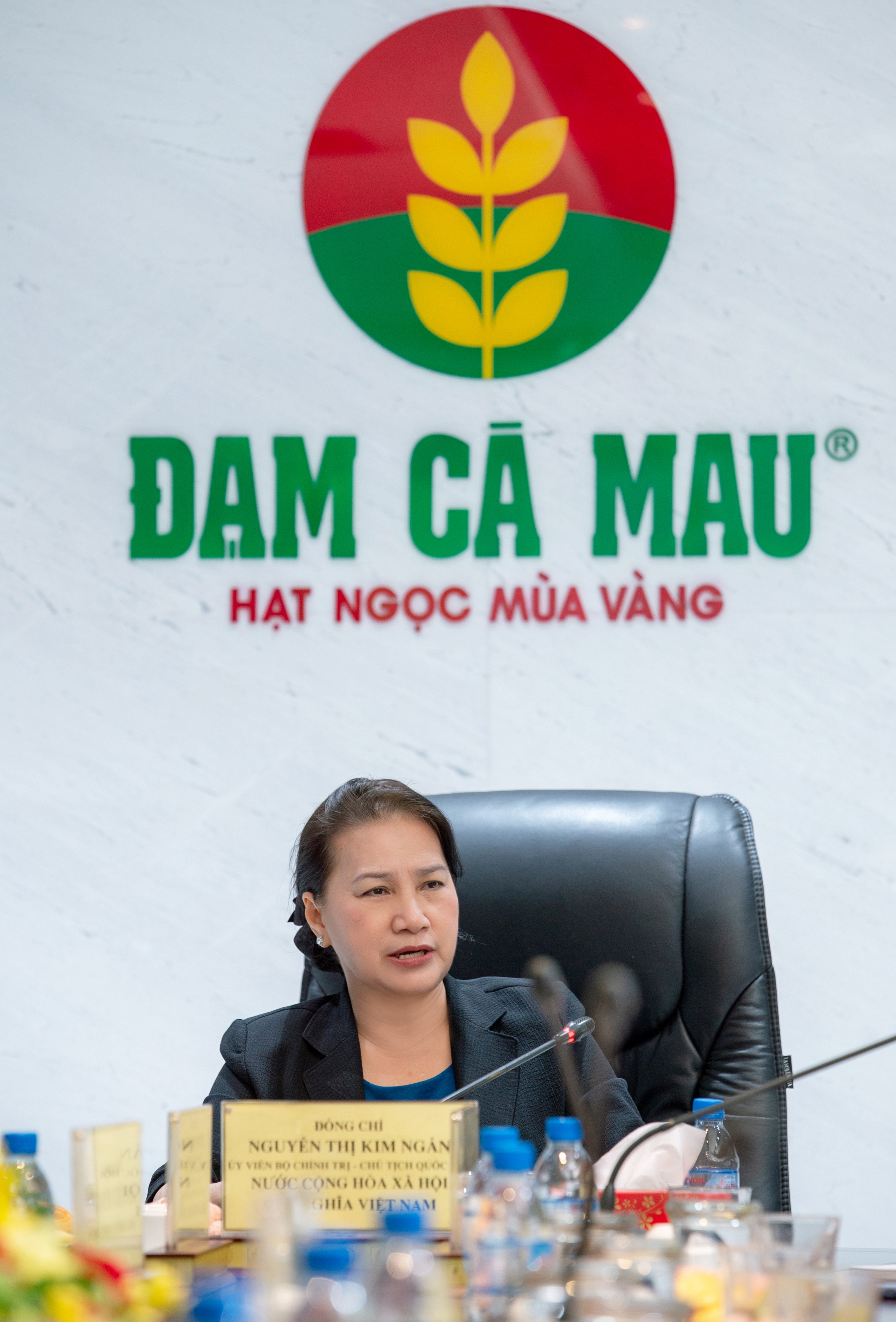Chủ tịch Quốc hội Nguyễn Thị Kim Ngân: Cụm Khí - Điện - Đạm Cà Mau là hình mẫu của Petrovietnam