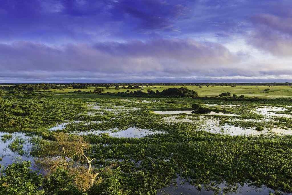 Top 6 điểm du lịch hấp dẫn nhất ở Brazil