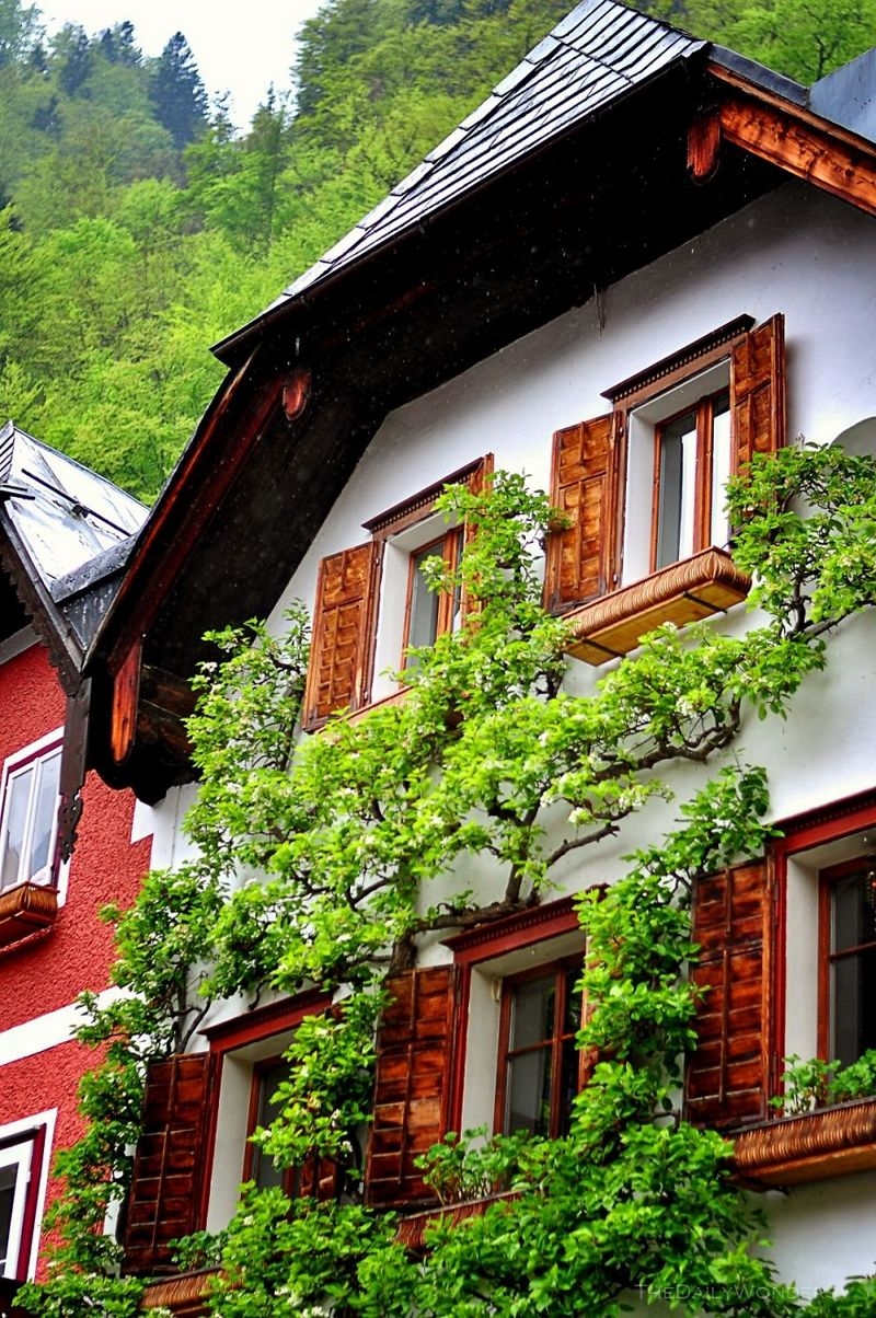 Thăm ngôi làng cổ Hallstatt - Di sản văn hóa 7.000 năm của nước Áo