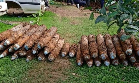 Phát hiện hơn 100 quả bom sót lại từ Thế chiến thứ hai trong vườn nhà