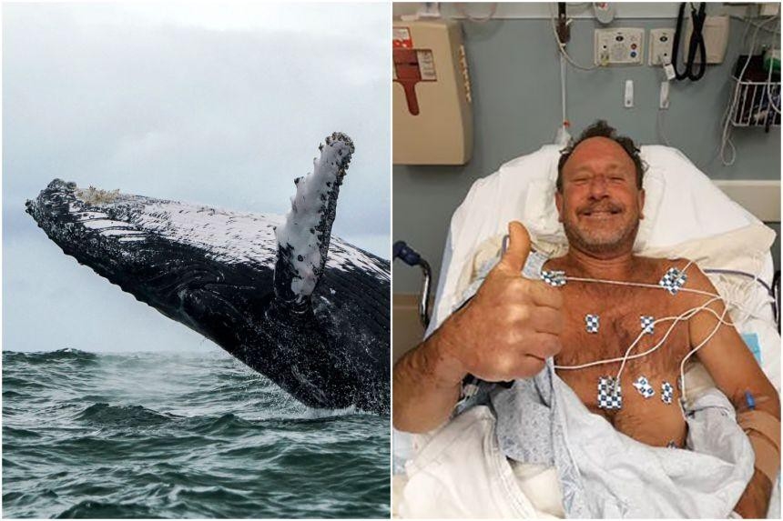 Người đàn ông bị hút vào miệng cá voi nhưng vẫn sống sót trở về