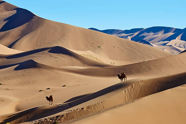 Top 6 địa điểm tham quan hấp dẫn du khách ở Mông Cổ