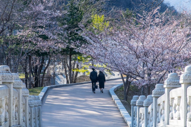 Những địa điểm "nhất định phải ghé" khi du lịch Hàn Quốc