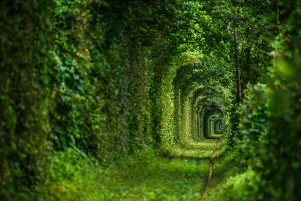 Choáng váng với kiến trúc của 6 đường hầm “độc lạ” nhất thế giới