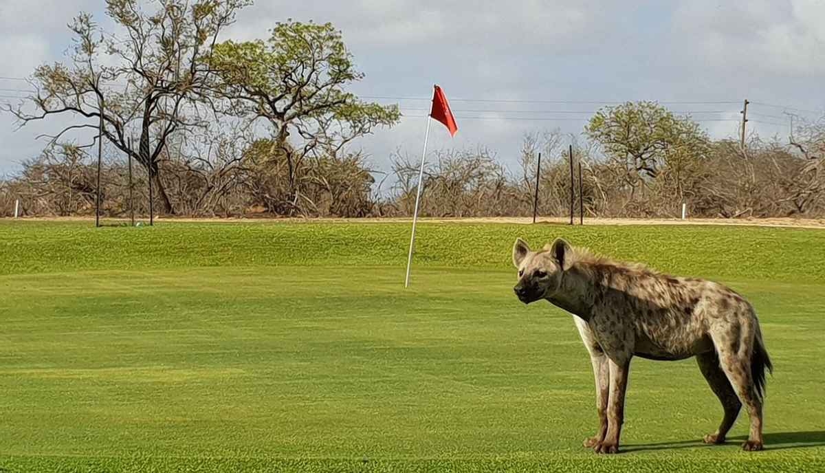 Thích thú với những sân golf độc đáo nhất hành tinh
