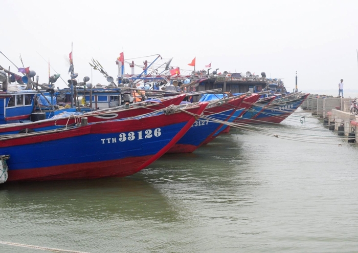 Đến chiều 11/9, tất cả các tàu thuyền trên địa bàn tỉnh Thừa Thiên Huế đã vào nơi trú tránh an toàn. 