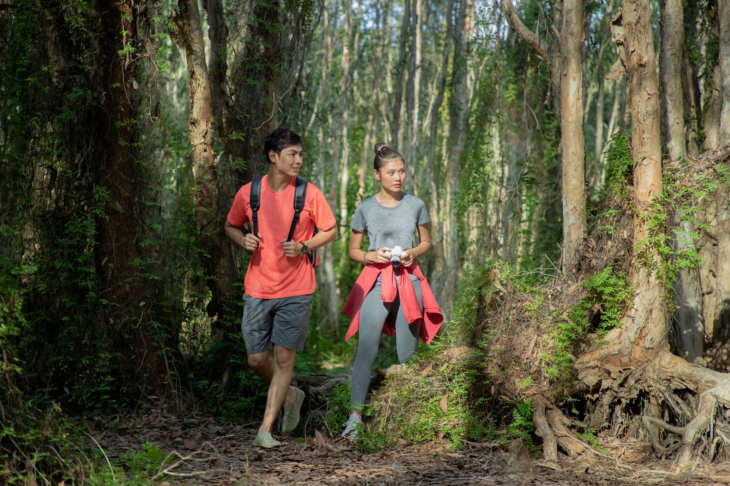 Bạn có thể đi bộ khám phá khu bảo tồn thiên nhiên Bình Châu - Phước Bửu.