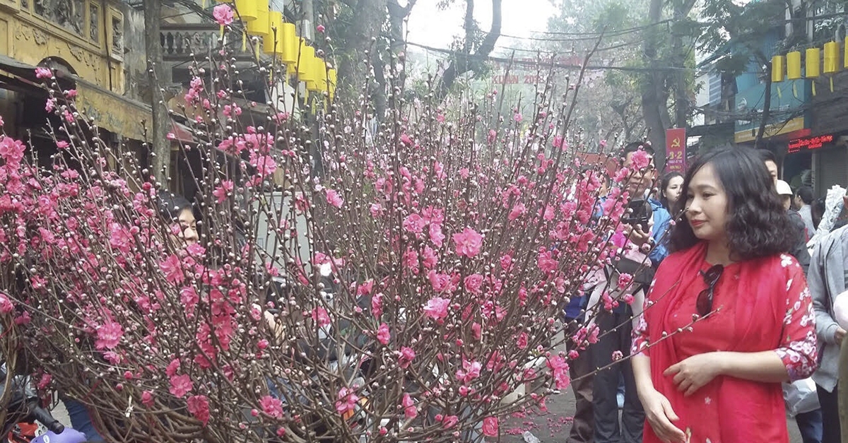 Hà Nội: 5 tuyến đường phố cổ bị cấm để tổ chức Chợ hoa Xuân 2020