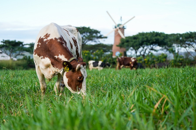 Vinamilk sở hữu các sản phẩm sữa tươi đầu tiên trên thế giới đạt chứng nhận từ tổ chức Clean Label Project của Mỹ.