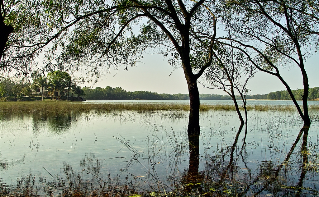 Hồ Bầu Tró- Đi tìm nguồn gốc cái tên