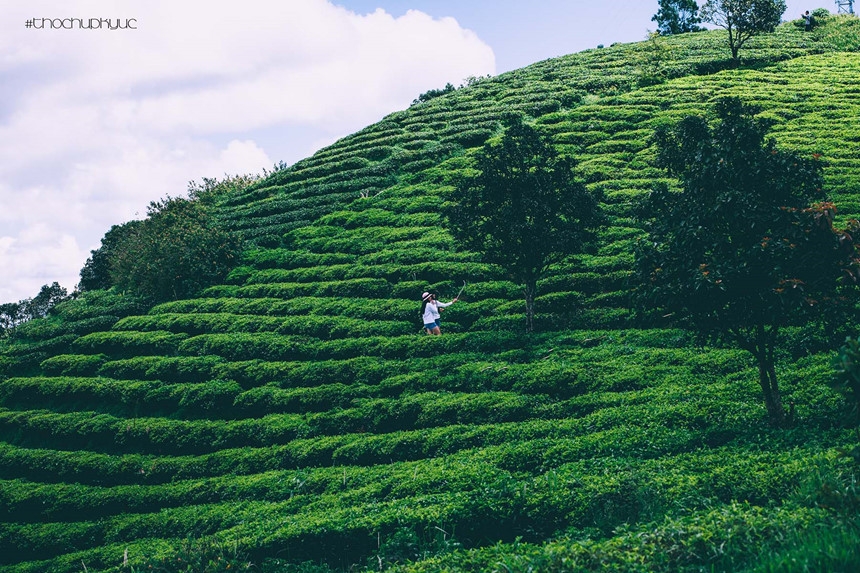 nhung diem den hap dan du khach khi den da lat