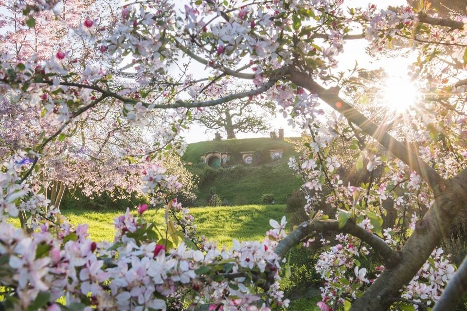 Ngôi làng cổ tích Hobbiton - Xứ sở thần tiên của người lùn ở New Zealand