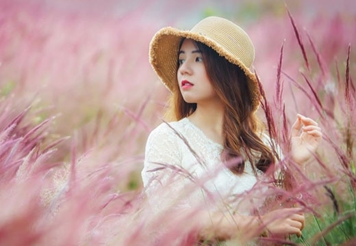 Lâm Đồng: Đồi cỏ hồng đẹp như truyện tranh