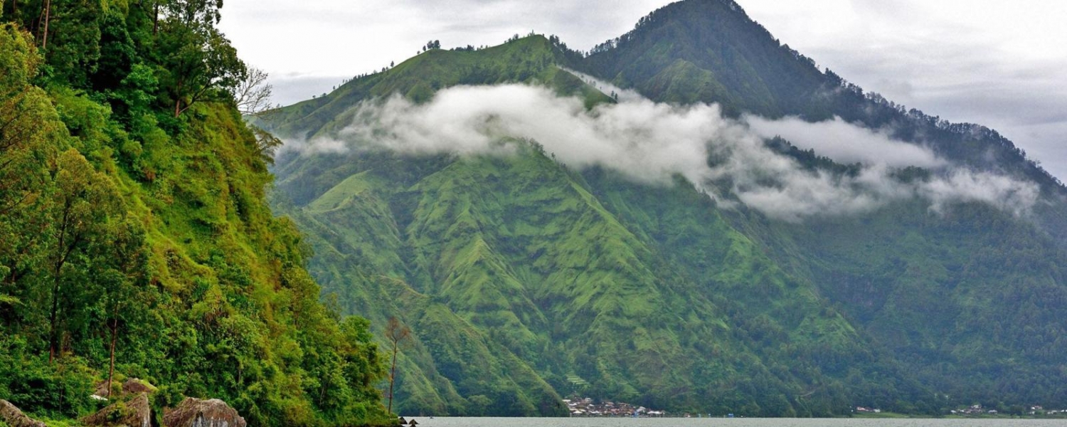 su ky la ben cay co thu gan voi doi song tam linh cua mot ngoi lang tai bali