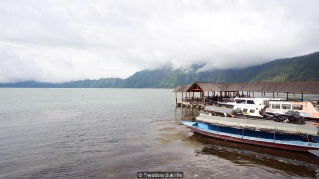 su ky la ben cay co thu gan voi doi song tam linh cua mot ngoi lang tai bali