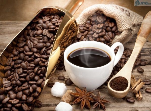 Giá cà phê hôm nay 16/5: Giao dịch trong khoảng 40.200 - 40.800 đồng/kg