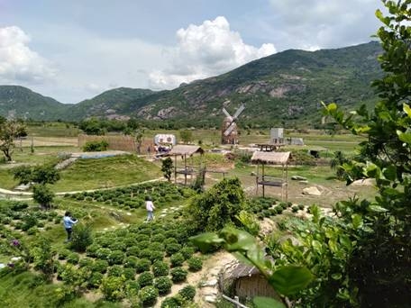 phat sot voi phim truong du long ninh thuan