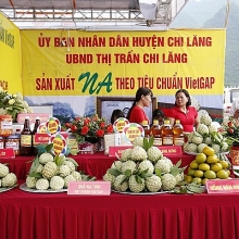 dua na chi lang va dac san lang son den tay nguoi tieu dung thu do