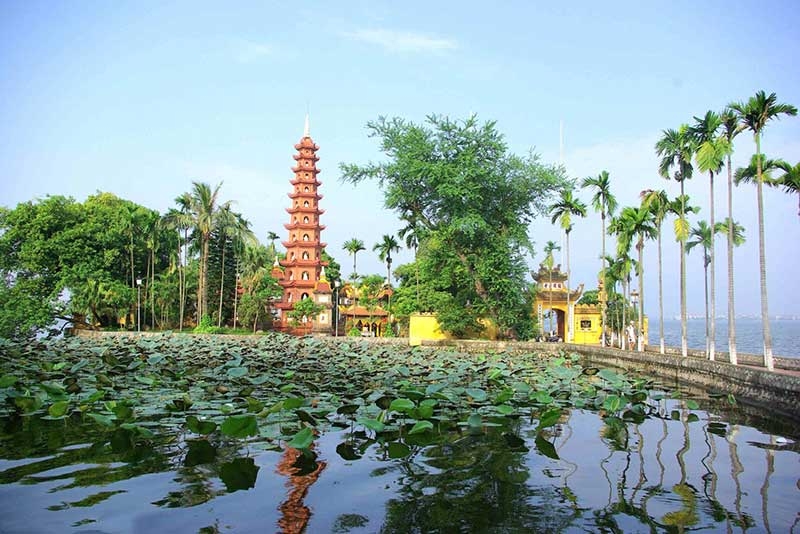 ba ngoi chua duoc nhieu phat tu lua chon trong mua vu lan o ha noi