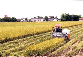 Nam Định: Đẩy nhanh tiến độ cấp giấy chứng nhận quyền sử dụng đất nông nghiệp sau dồn điền đổi thửa