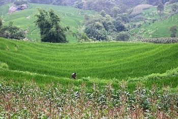 Lào Cai: Triển khai kiểm kê đất đai 2019