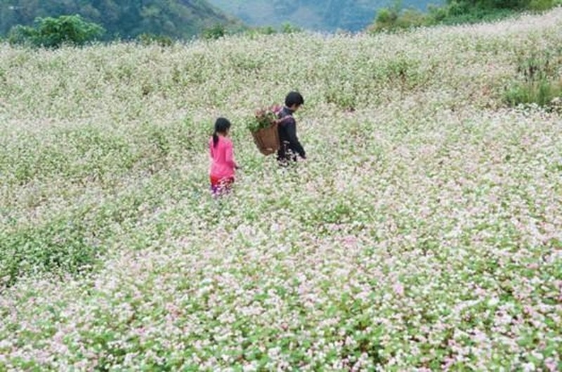 Năm điểm đến tận hưởng không khí vào thu ở Việt Nam