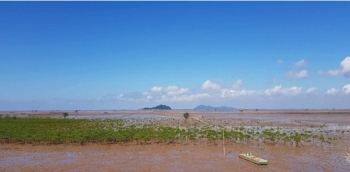 Thái Bình: Dừng cho thuê đất bãi triều