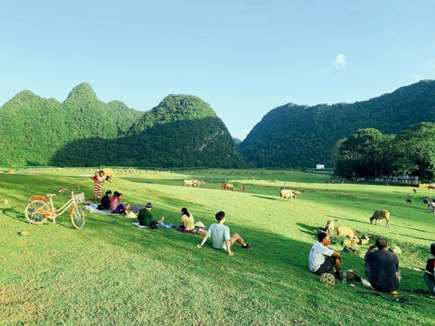 Cần gì sang Thụy Sĩ như Hyun Bin, Việt Nam có cánh đồng thảo nguyên xanh ‘hạ cánh’ tuyệt đẹp