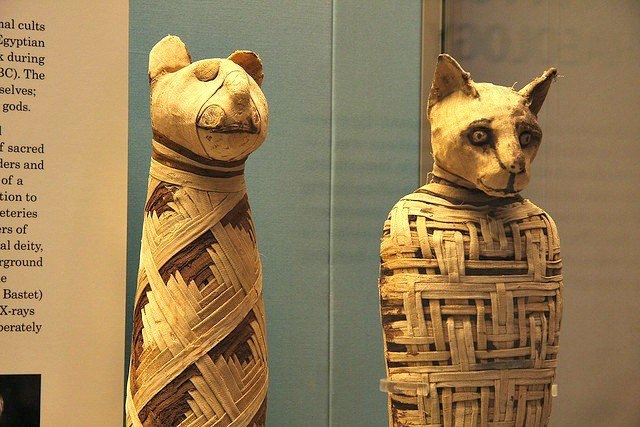 Những điều thú vị về xác ướp Ai Cập