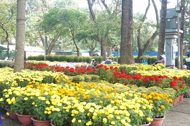 Hà Nội tổ chức 51 điểm chợ hoa xuân phục vụ Tết Nguyên đán