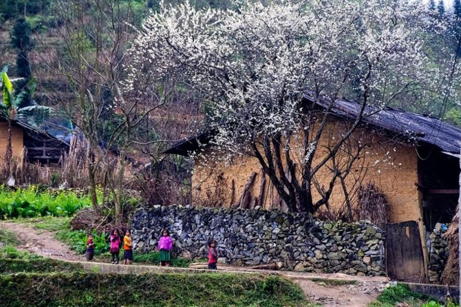 pho cao noi nguyen so den la ky