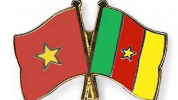 Tin Bộ Ngoại giao: Điện mừng kỷ niệm thiết lập quan hệ ngoại giao Việt Nam - Cameroon