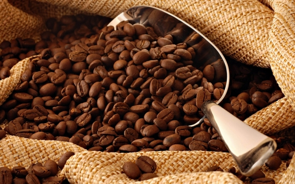 Giá cà phê hôm nay 13/9: Dao động ở mức 47.800 - 48.400 đồng/kg