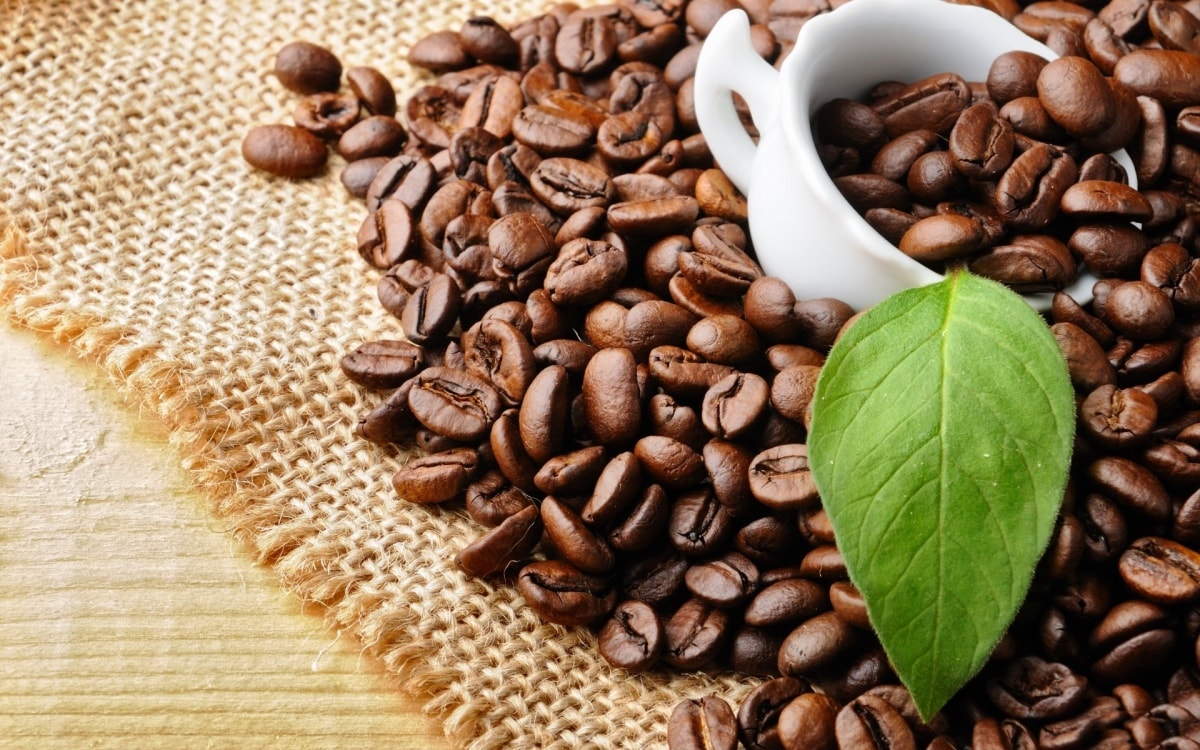 Giá cà phê hôm nay 22/10:  Dao động ở mức 43.900 – 44.300 đồng/kg