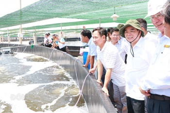 Bến Tre chú trọng mở rộng diện tích nuôi tôm biển ứng dụng công nghệ cao