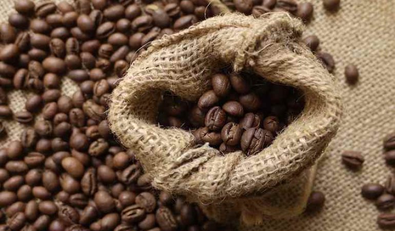 Giá cà phê hôm nay 4/11: Thị trường cà phê trong nước tăng 800 đồng/kg